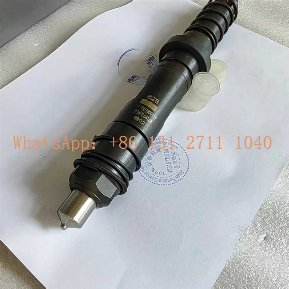 WEICHAI Marine Engine Fuel Injectors 617067000129 suppliers