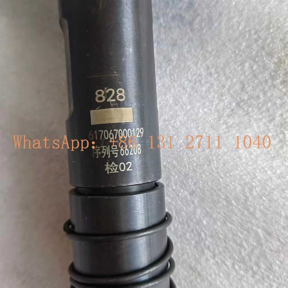 WEICHAI Marine Engine Fuel Injectors 617067000129 best